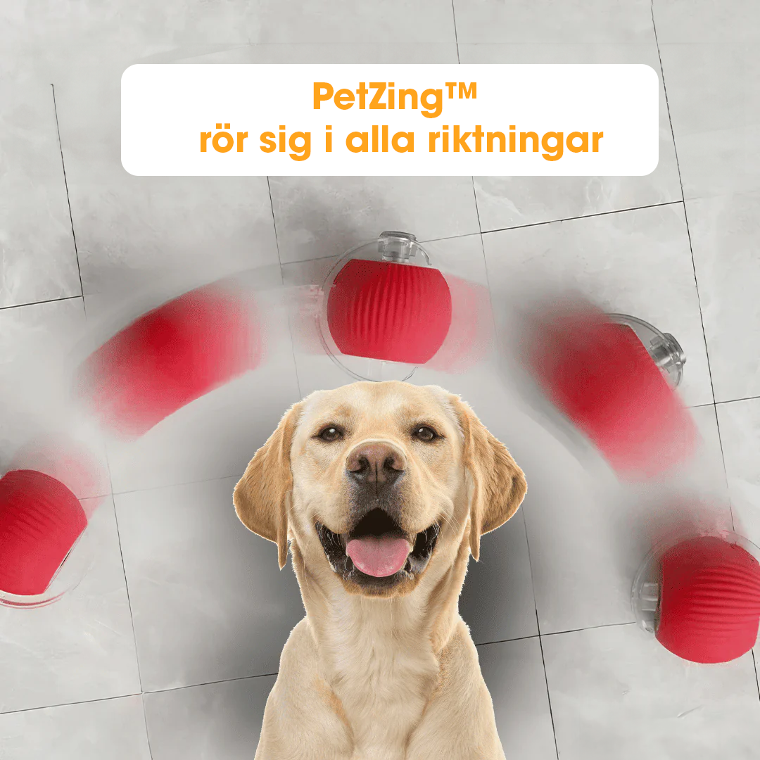 PetZing™ - Smart kjæledyrleke